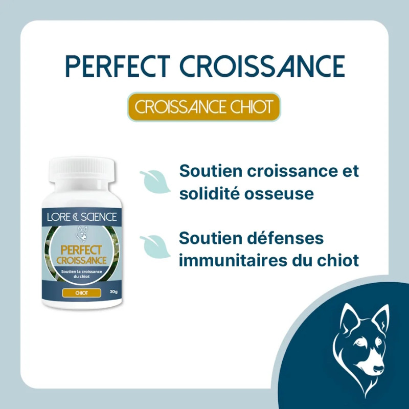 Perfect Croissance - Puppy development support - Lore & Science